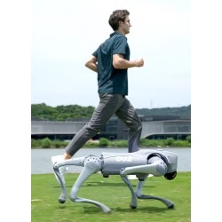 Unitree go2 köpek robot